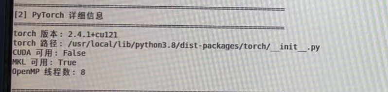 PyTorch MKL 信息